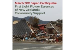 March 2011 Japan Earthquake - First Light Flower Essences of New Zealand® Community Support