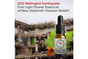 Jul-Aug 2013 Wellington Earthquake - First Light Flower Essences of New Zealand® Disaster Relief© Blend