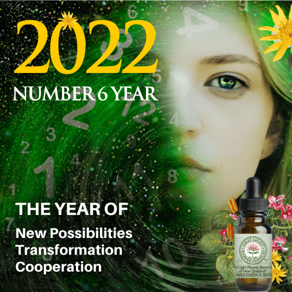 First Light Flower Essences of New Zealand® 2022 Year Blend