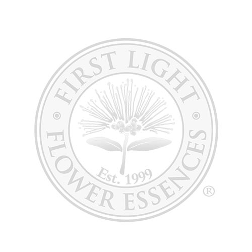 First Light Flower Essences of New Zealand® Practitioner’s Kit