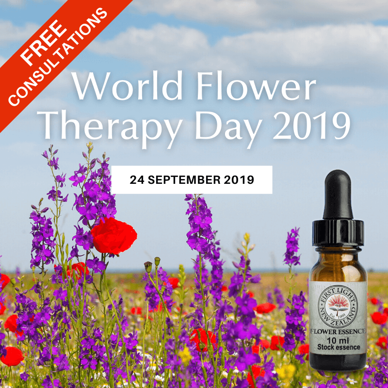24 September 2019 - Flower Therapy World Day 2019