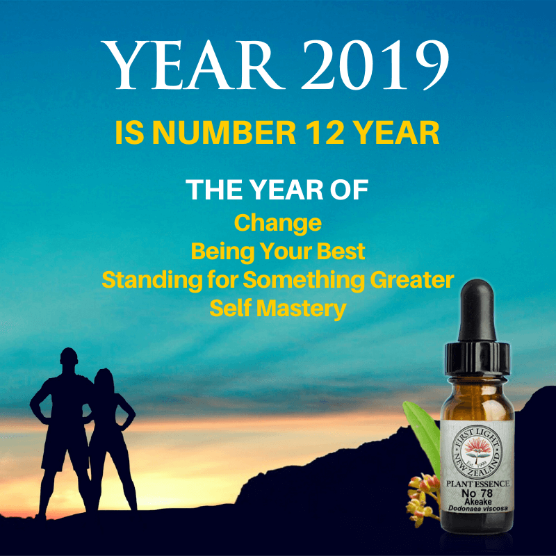 First Light® Blend for 2019 – The Number 12 Year