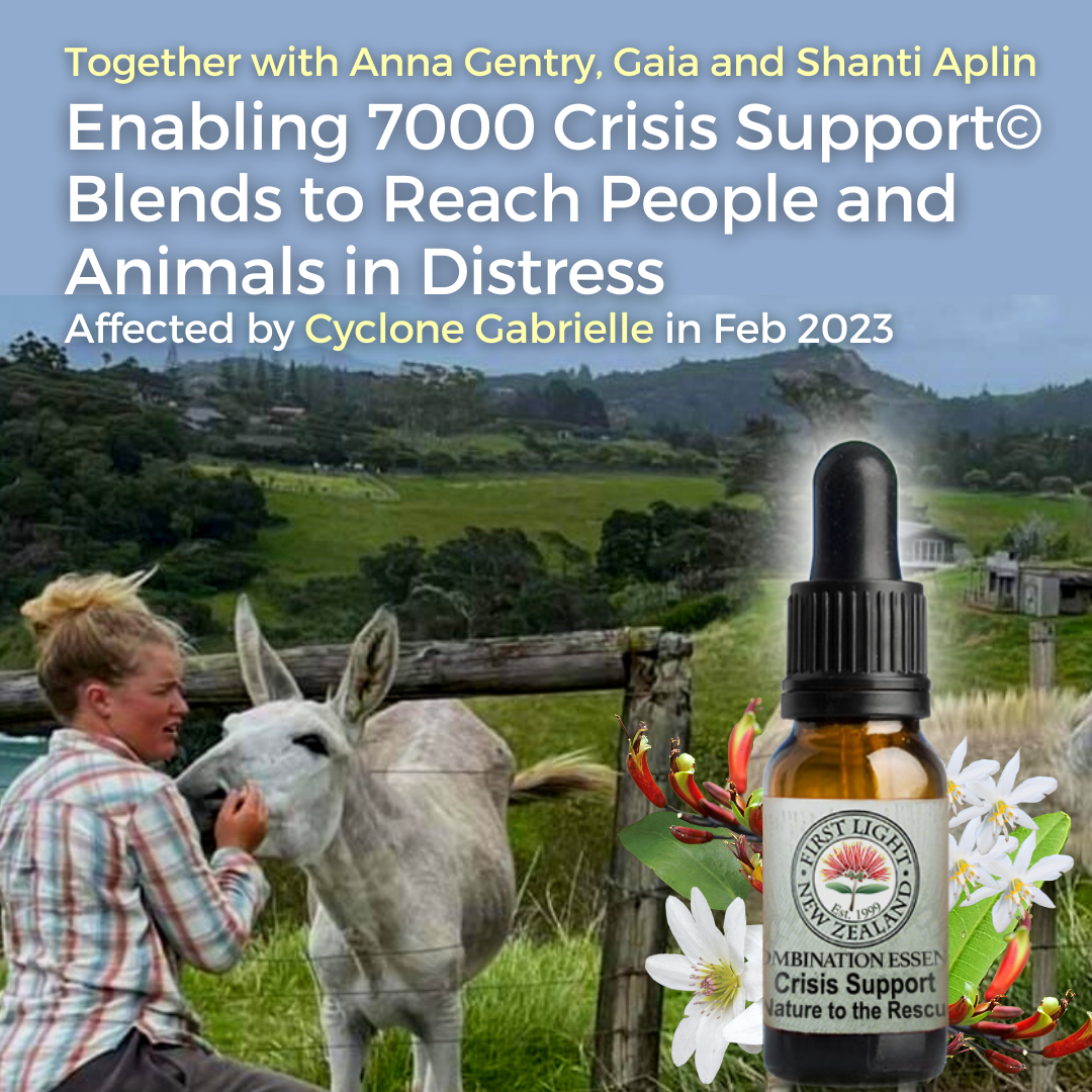February 2023 New Zealand Cyclone Gabrielle - Enabling 7000 Crisis Support© Blends to Help People and Animals in Distress, in Collaboration with with Anna, Gaia and Shanti