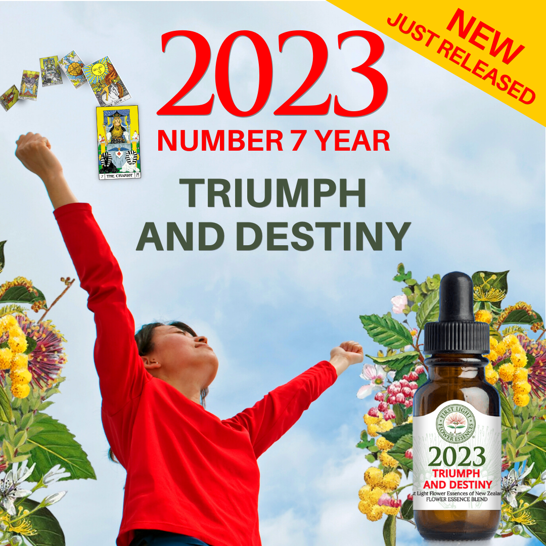 2023 – A Number 7 Year - Triumph and Destiny