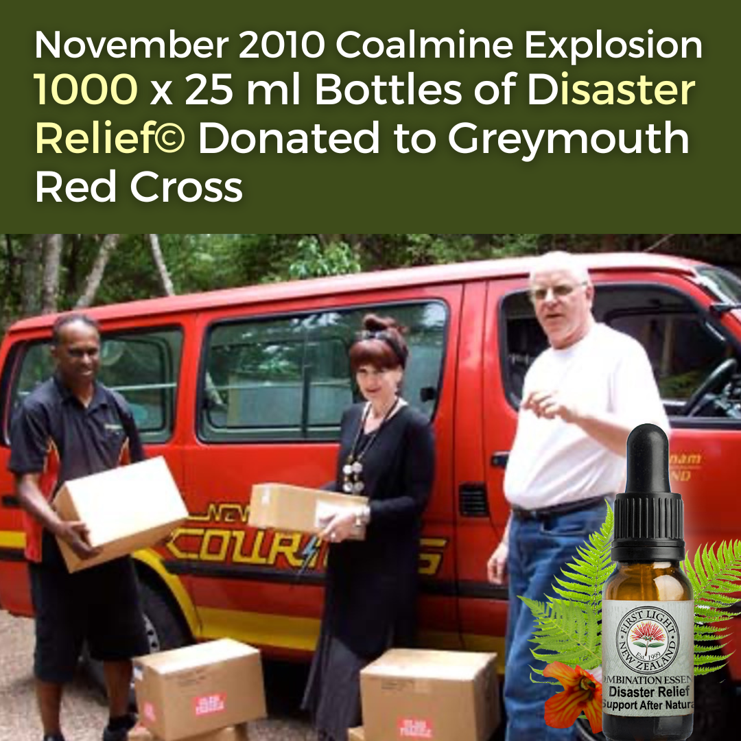 November 2010 Greymouth Coalmine Explosion - 1000 x 25ml Blends of First Light Flower Essences of New Zealand® Disaster Relief© Donated to Greymouth Red Cross
