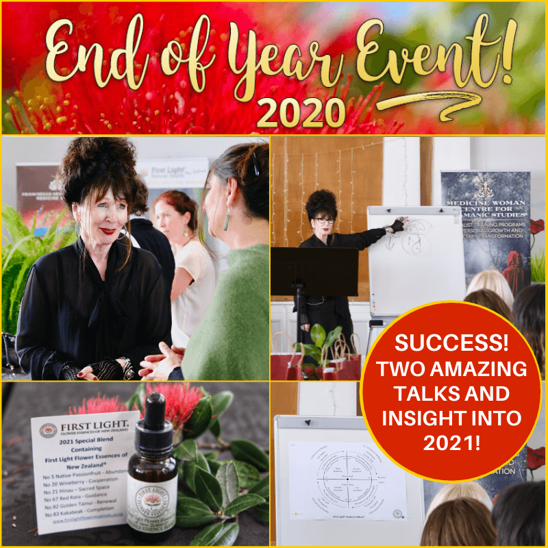 5 December 2020 - Friends of First Light and Medicine Woman End of Year Event 2020