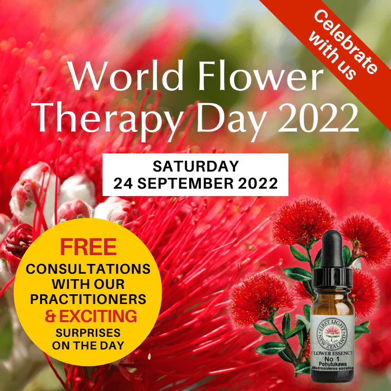 24 September 2022 Celebrating World Flower Therapy Day 2022  -  FREE Consultations